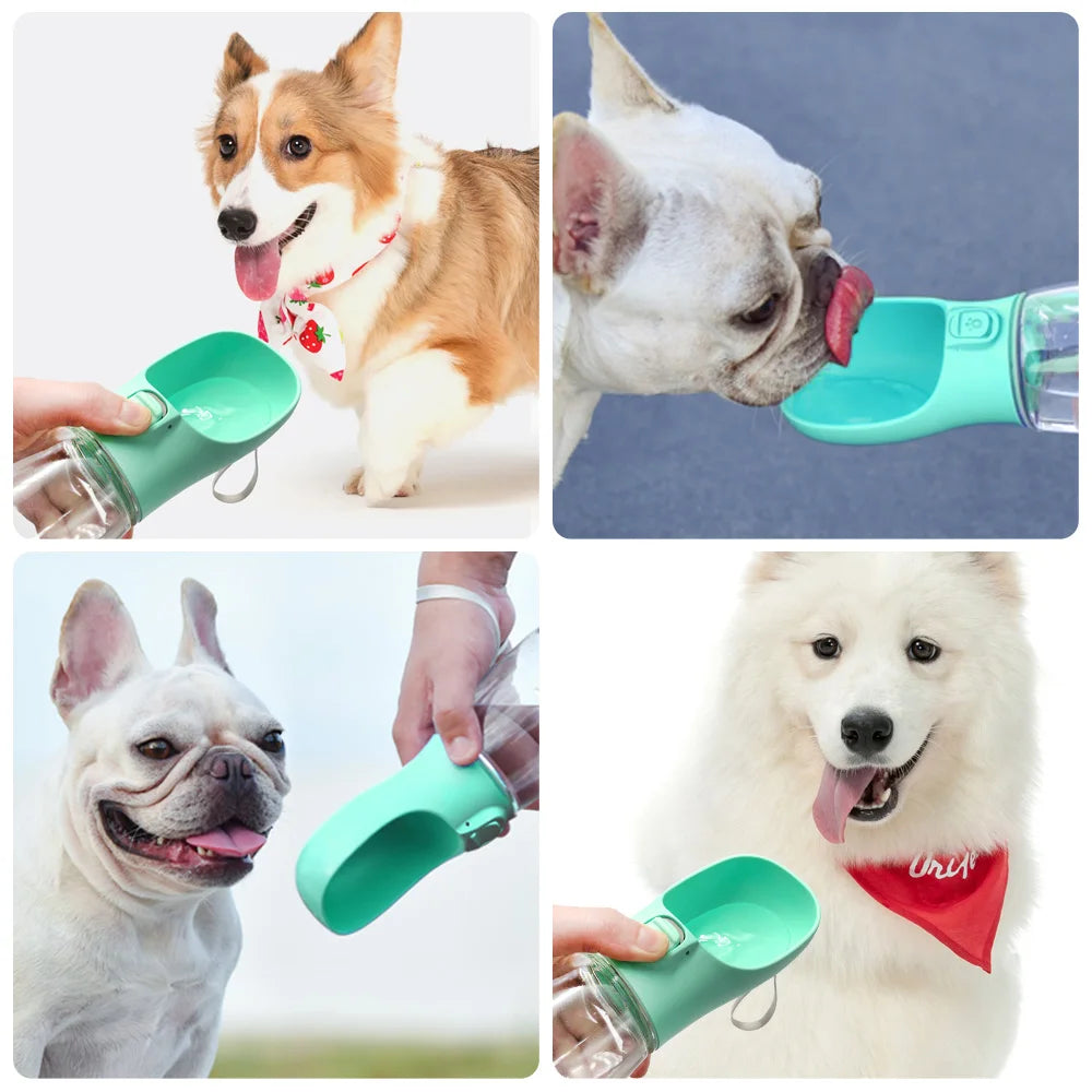 Adventure-Ready Pet Water Bottle™